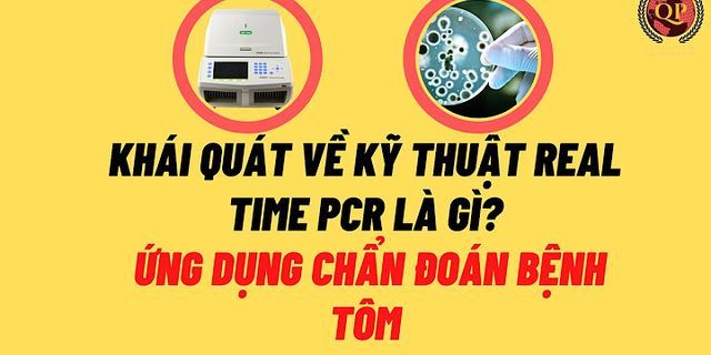 Xét nghiệm Chlamydia Real time PCR là gì