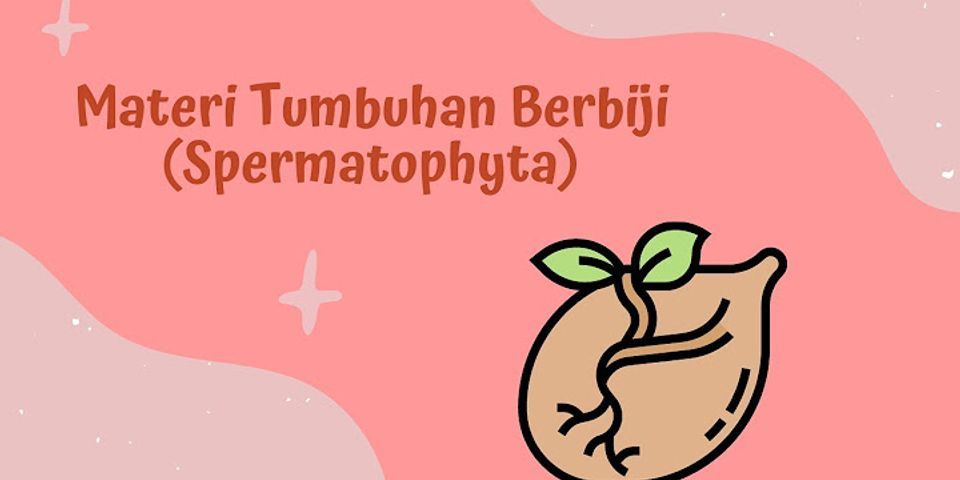 Yang Merupakan Tumbuhan Berbiji Terbuka Dan Tumbuhan Berbiji Tertutup