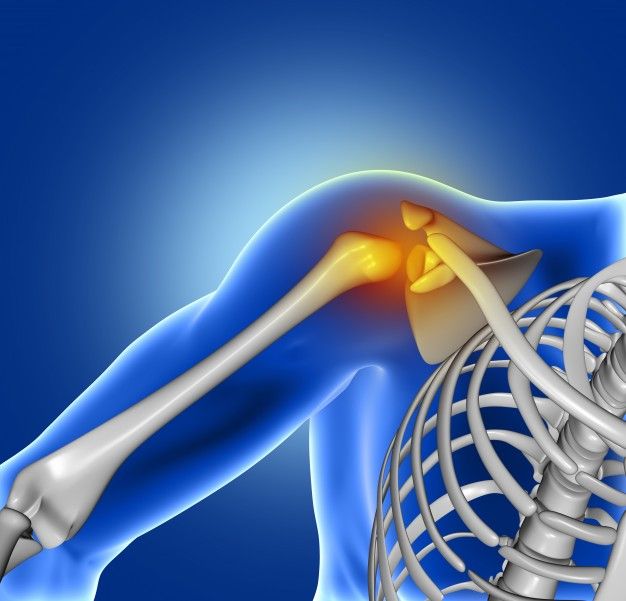 Tulang dahi tulang pergelangan kaki dan tulang lengan secara berturut-turut merupakan jenis