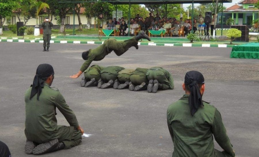 Top 10 Saat Melakukan Loncat Harimau Gerakan Apa Yang Paling Dominan ...