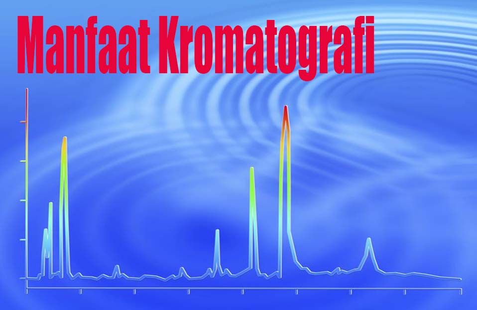 Salah Satu Kegunaan dari Metode Kromatografi adalah untuk Memisahkan: Penjelasan Lengkap