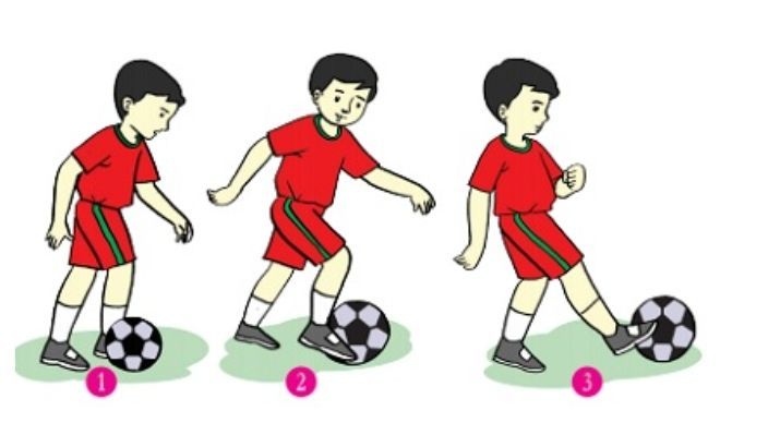 Menendang bola memukul bola dan memantulkan bola adalah termasuk kedalam contoh gerak dasar