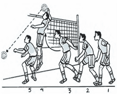 Diberi bola hak memainkan setiap voli untuk menerima sebanyak servis bola regu dalam 6 Posisi