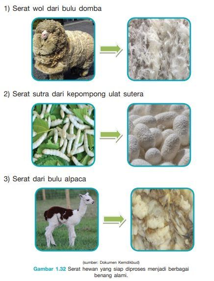 Serat yang berasal dari larva ulat sutera yang digunakan untuk membentuk kepompong disebut