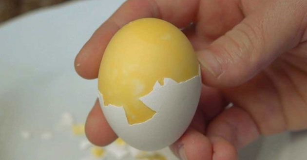Tại sao trứng bị thối?