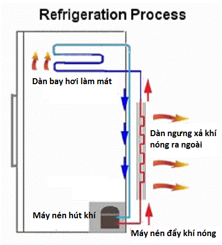 Tại sao tủ lạnh bị nóng cả 2 bên?