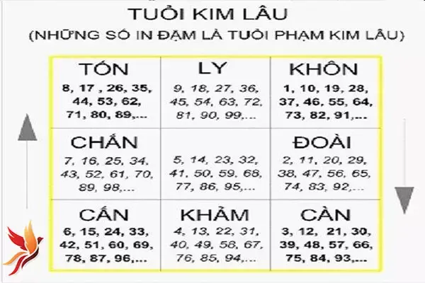 tam-tai-hoang-oc-kim-lau-7