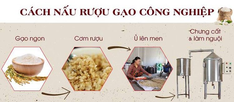 Ví dụ về quy trình nấu rượu gạo công nghiệp