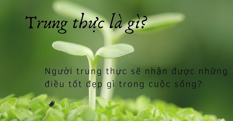 trung thực là gì