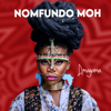 Phakade Lami (feat. Sha Sha & Ami Faku) - Nomfundo Moh