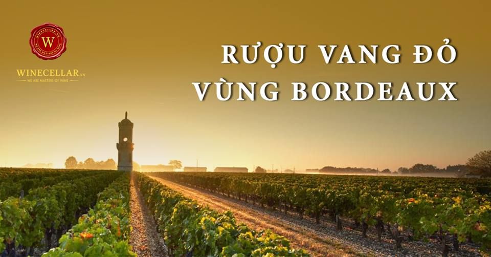 Rượu vang đỏ vùng Bordeaux - WINECELLAR.vn