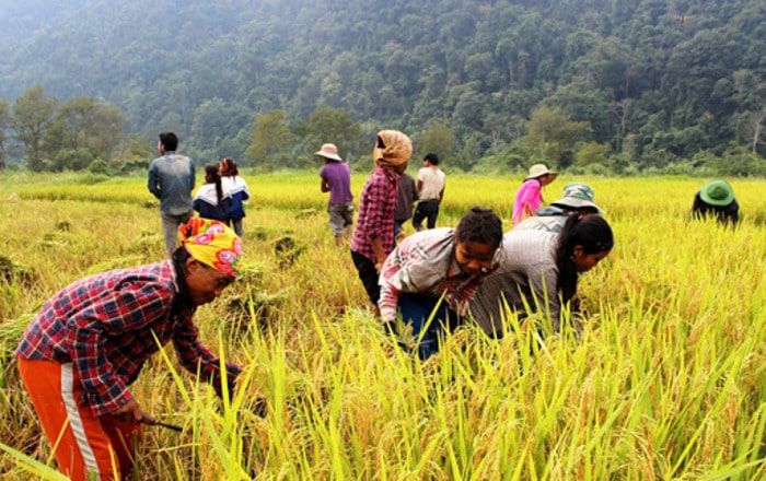 hinh-anh-cach-lam-de-cuong-nghien-cuu-khoa-hoc-3