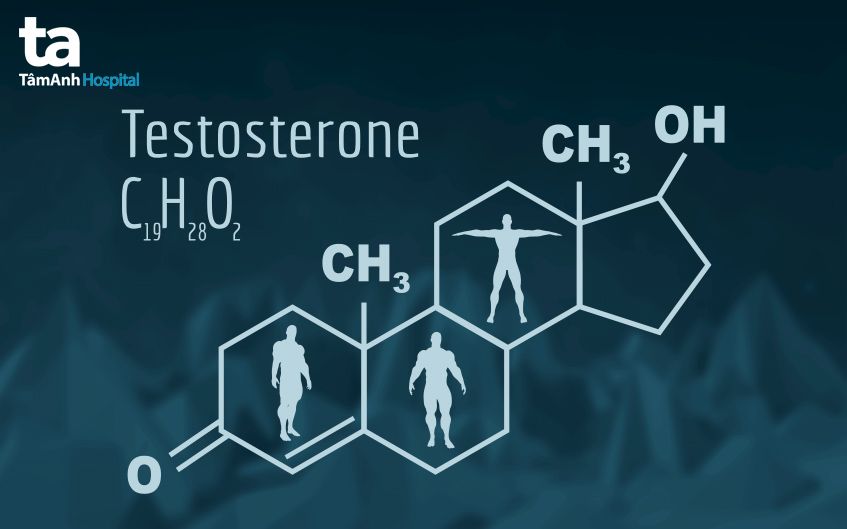 Testosterone là hóc môn sinh dục nam